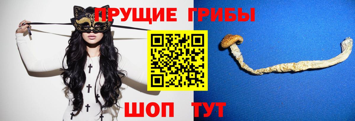 Галлюциногенные грибы Magic Shrooms Ишимбай